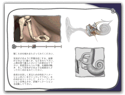 聴こえのより良い理解