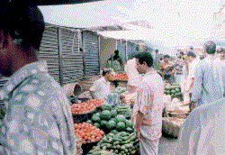 PHOTO-2